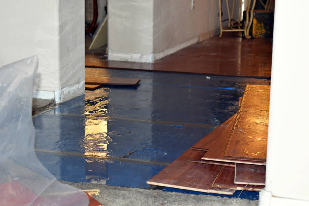Professional Burst Pipe Cleanup technician working in Hauppauge, NY